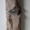 Treibholz Schwemmholz Driftwood  1 dickes Brett Regal  60 cm  