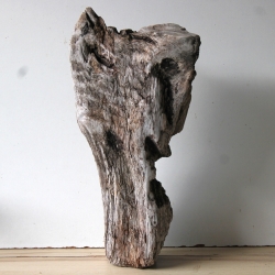 Treibholz Schwemmholz Driftwood 1 knorrige  XL Skulptur  55 cm 