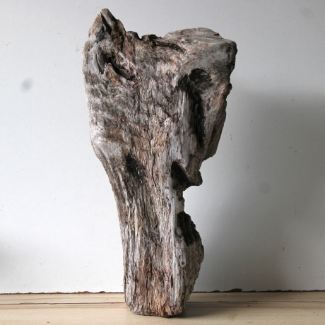 Treibholz Schwemmholz Driftwood 1 knorrige  XL Skulptur  55 cm 