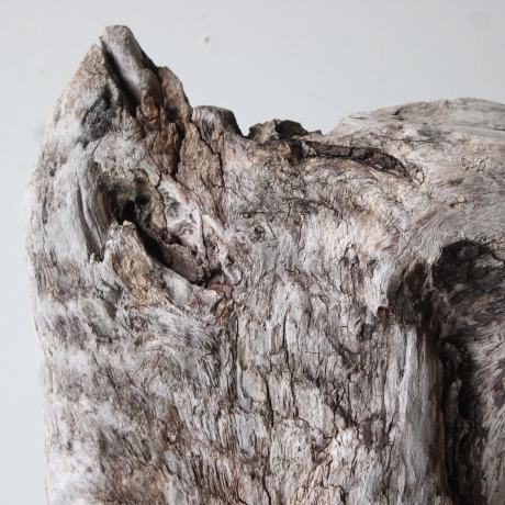 Treibholz Schwemmholz Driftwood 1 knorrige  XL Skulptur  55 cm 