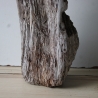 Treibholz Schwemmholz Driftwood 1 knorrige  XL Skulptur  55 cm 