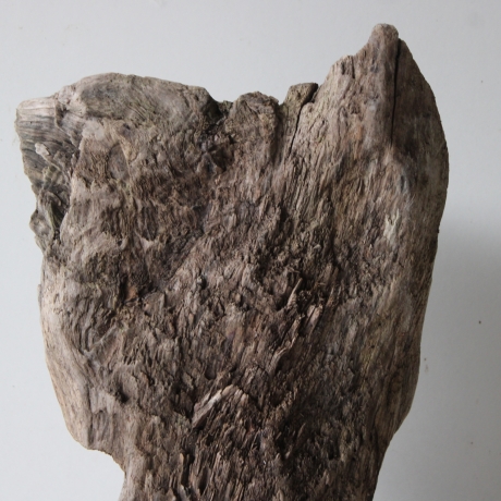 Treibholz Schwemmholz Driftwood 1 knorrige  XL Skulptur  55 cm 