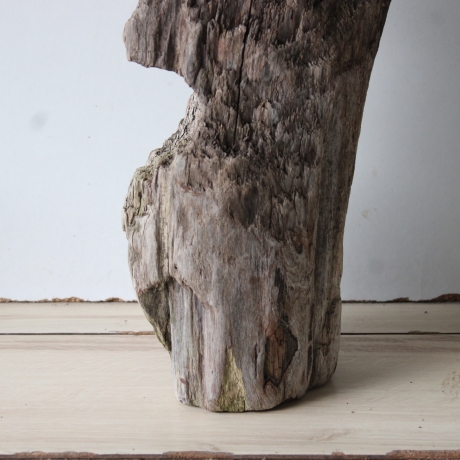Treibholz Schwemmholz Driftwood 1 knorrige  XL Skulptur  55 cm 
