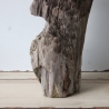 Treibholz Schwemmholz Driftwood 1 knorrige  XL Skulptur  55 cm 