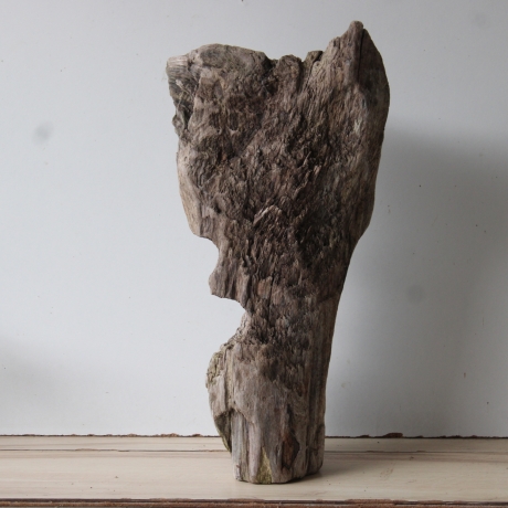 Treibholz Schwemmholz Driftwood 1 knorrige  XL Skulptur  55 cm 