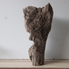 Treibholz Schwemmholz Driftwood 1 knorrige  XL Skulptur  55 cm 