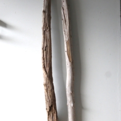 Treibholz Schwemmholz Driftwood 2 XXL Äste   117-119 cm 