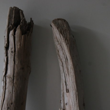 Treibholz Schwemmholz Driftwood 2 XXL Äste   117-119 cm 