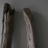 Treibholz Schwemmholz Driftwood 2 XXL Äste   117-119 cm 