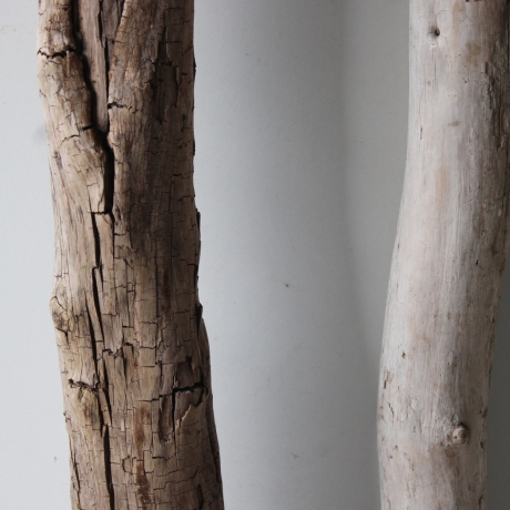 Treibholz Schwemmholz Driftwood 2 XXL Äste   117-119 cm 