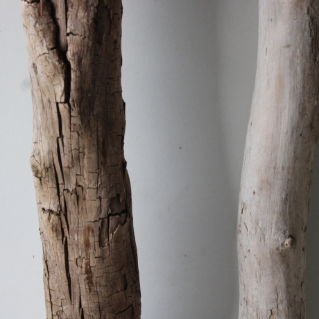 Treibholz Schwemmholz Driftwood 2 XXL Äste   117-119 cm 