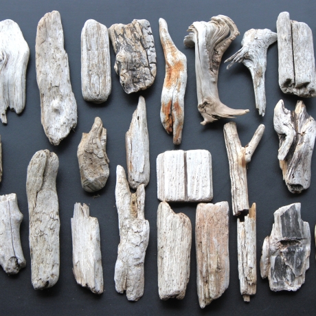 Treibholz Schwemmholz Driftwood 27  größere Minis  6 cm-19 cm *S*
