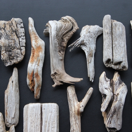 Treibholz Schwemmholz Driftwood 27  größere Minis  6 cm-19 cm *S*