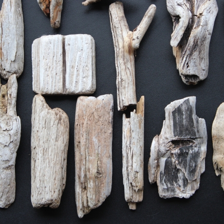 Treibholz Schwemmholz Driftwood 27  größere Minis  6 cm-19 cm *S*