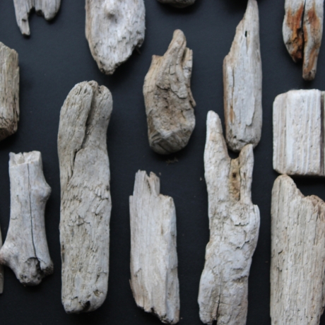 Treibholz Schwemmholz Driftwood 27  größere Minis  6 cm-19 cm *S*