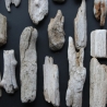 Treibholz Schwemmholz Driftwood 27  größere Minis  6 cm-19 cm *S*