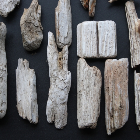 Treibholz Schwemmholz Driftwood 27  größere Minis  6 cm-19 cm *S*