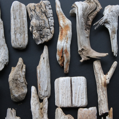 Treibholz Schwemmholz Driftwood 27  größere Minis  6 cm-19 cm *S*