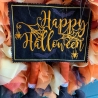 Ferberline Stickdatei Türschild Halloween ab 10x10