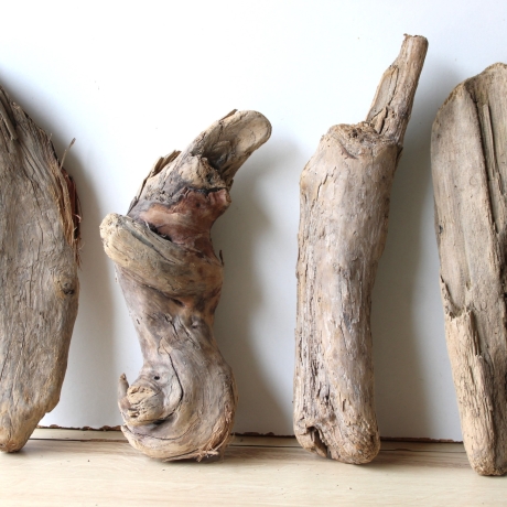 Treibholz Schwemmholz Driftwood 4 knorrige Hölzer 29-35 cm 