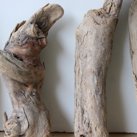 Treibholz Schwemmholz Driftwood 4 knorrige Hölzer 29-35 cm 