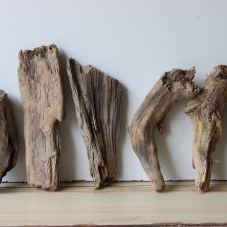 Treibholz Schwemmholz Driftwood 6 Hölzer 22-30 cm 