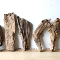 Treibholz Schwemmholz Driftwood 6 Hölzer 22-30 cm 