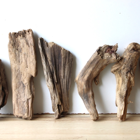 Treibholz Schwemmholz Driftwood 6 Hölzer 22-30 cm 