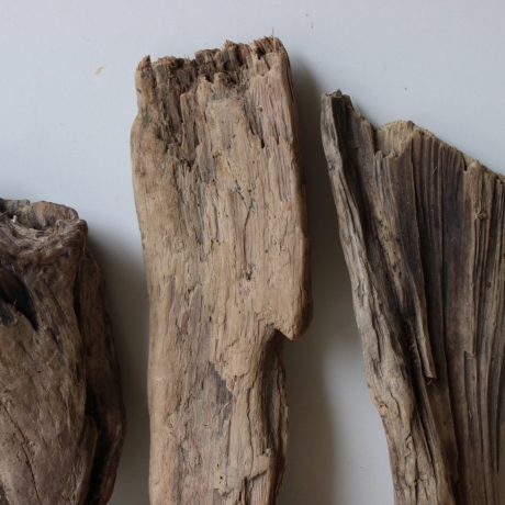 Treibholz Schwemmholz Driftwood 6 Hölzer 22-30 cm 