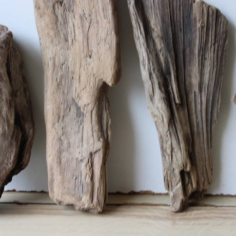 Treibholz Schwemmholz Driftwood 6 Hölzer 22-30 cm 