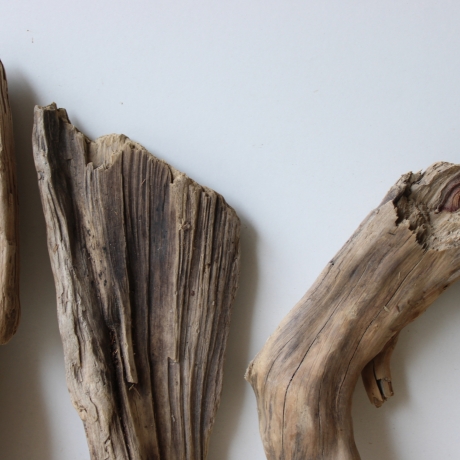 Treibholz Schwemmholz Driftwood 6 Hölzer 22-30 cm 