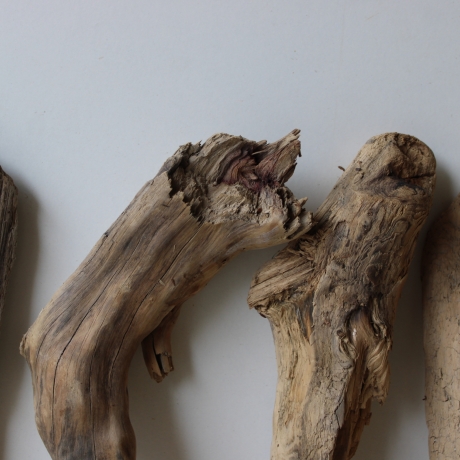 Treibholz Schwemmholz Driftwood 6 Hölzer 22-30 cm 
