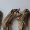Treibholz Schwemmholz Driftwood 6 Hölzer 22-30 cm 