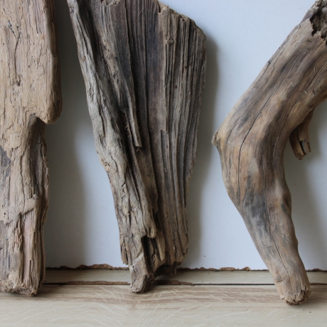 Treibholz Schwemmholz Driftwood 6 Hölzer 22-30 cm 