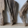 Treibholz Schwemmholz Driftwood 6 Hölzer 22-30 cm 