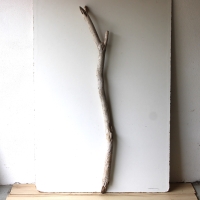 Treibholz Schwemmholz Driftwood 1 MEGA  Ast  Garderobe 137  cm  