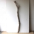 Treibholz Schwemmholz Driftwood 1 MEGA  Ast  Garderobe 137  cm  