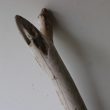 Treibholz Schwemmholz Driftwood 1 MEGA  Ast  Garderobe 137  cm  