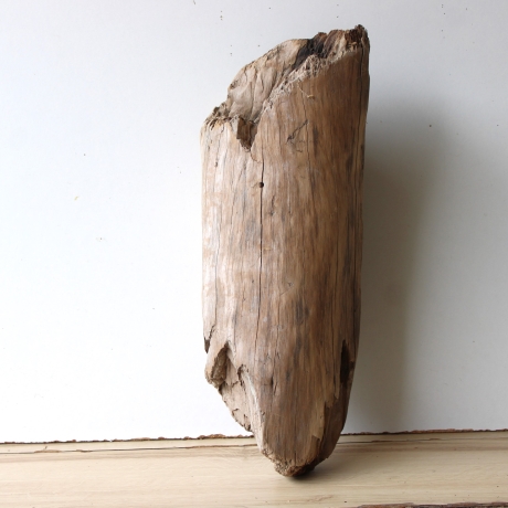 Treibholz Schwemmholz Driftwood 1 knorrige  XL Skulptur  46 cm 