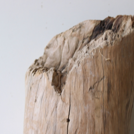 Treibholz Schwemmholz Driftwood 1 knorrige  XL Skulptur  46 cm 