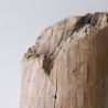 Treibholz Schwemmholz Driftwood 1 knorrige  XL Skulptur  46 cm 
