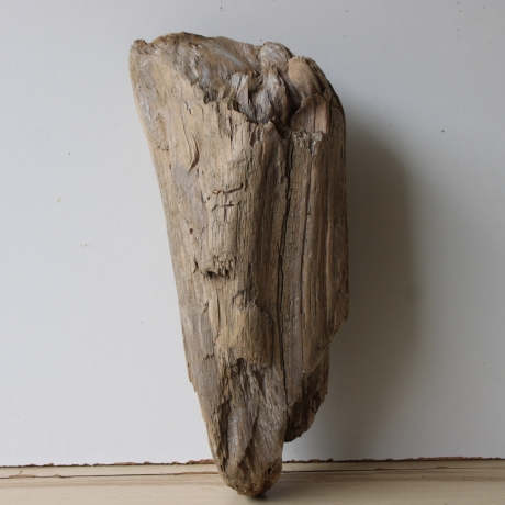 Treibholz Schwemmholz Driftwood 1 knorrige  XL Skulptur  46 cm 