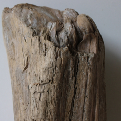 Treibholz Schwemmholz Driftwood 1 knorrige  XL Skulptur  46 cm 