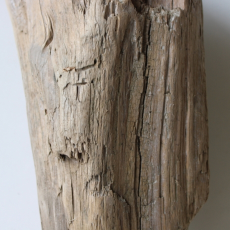 Treibholz Schwemmholz Driftwood 1 knorrige  XL Skulptur  46 cm 