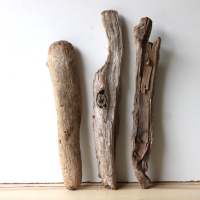 Treibholz Schwemmholz Driftwood 3 XL Hölzer 45-56 cm 