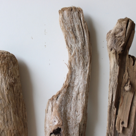 Treibholz Schwemmholz Driftwood 3 XL Hölzer 45-56 cm 