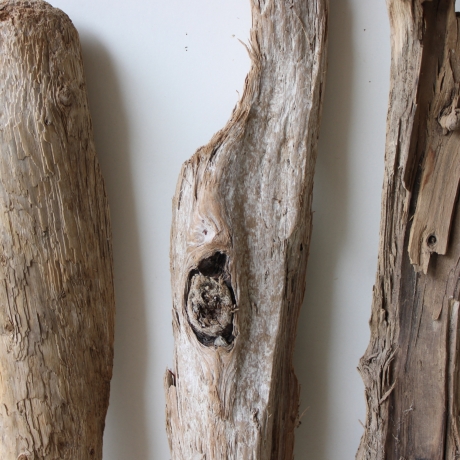Treibholz Schwemmholz Driftwood 3 XL Hölzer 45-56 cm 