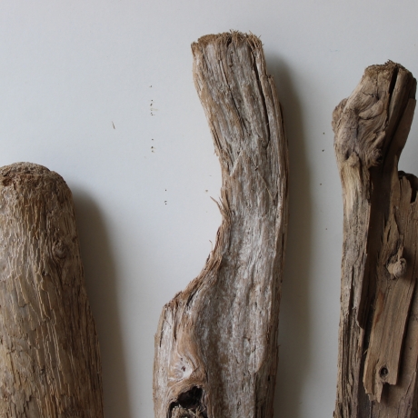 Treibholz Schwemmholz Driftwood 3 XL Hölzer 45-56 cm 