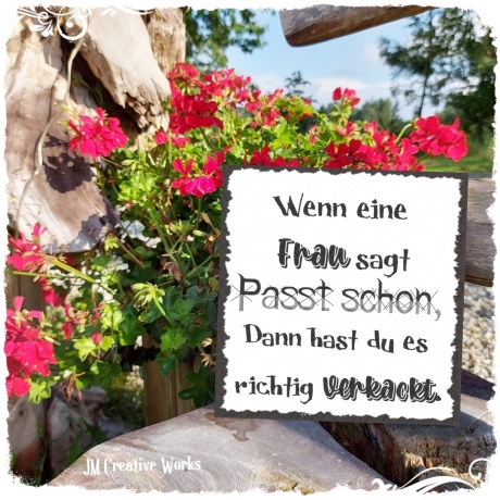 Holzschild-Shabby Passt schon