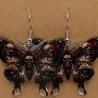 Schmetterling Motten Totenkopf Edelstahl Ohrhänger Halloween